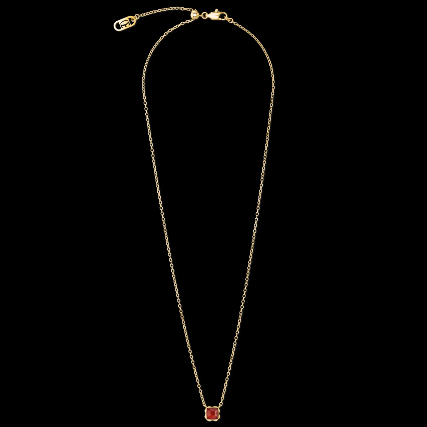 Birthstone January Necklace Red Agate Gold